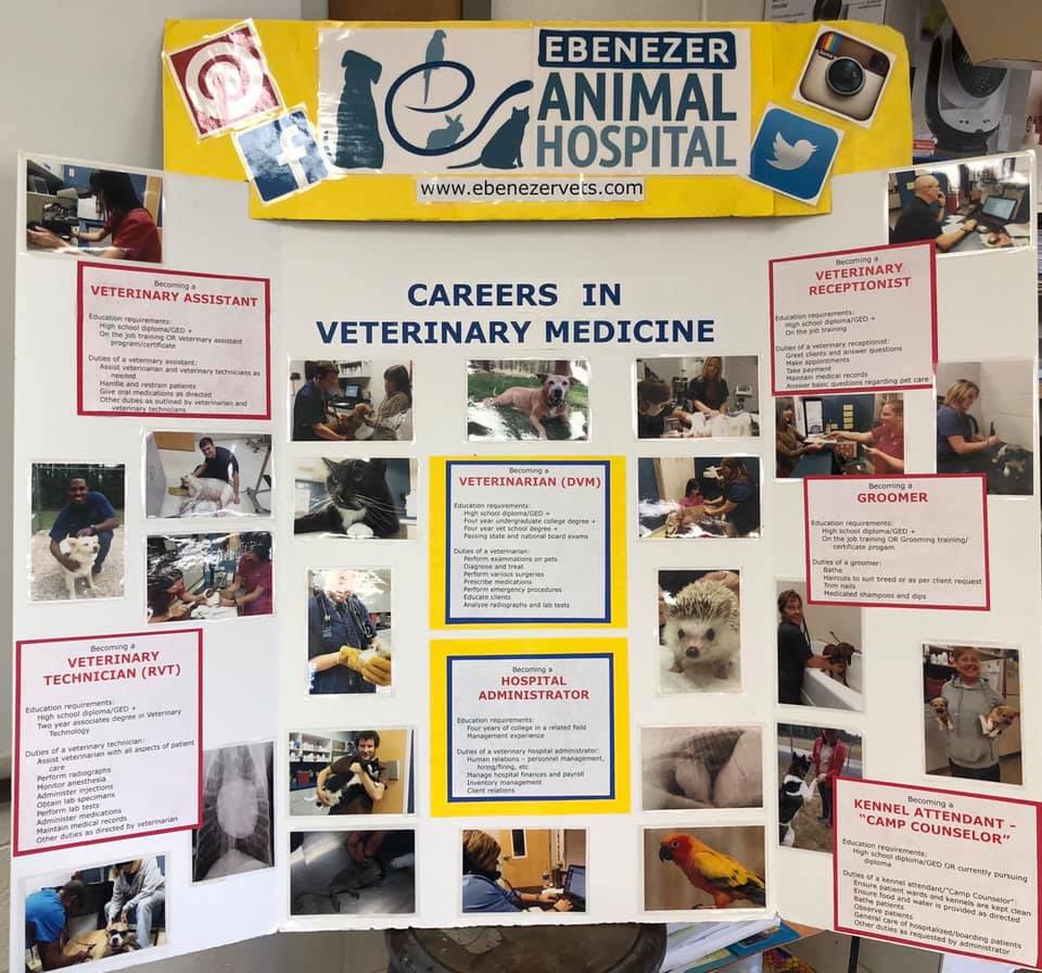 Dr Springate and Brooke are... - Ebenezer Animal Hospital | Facebook