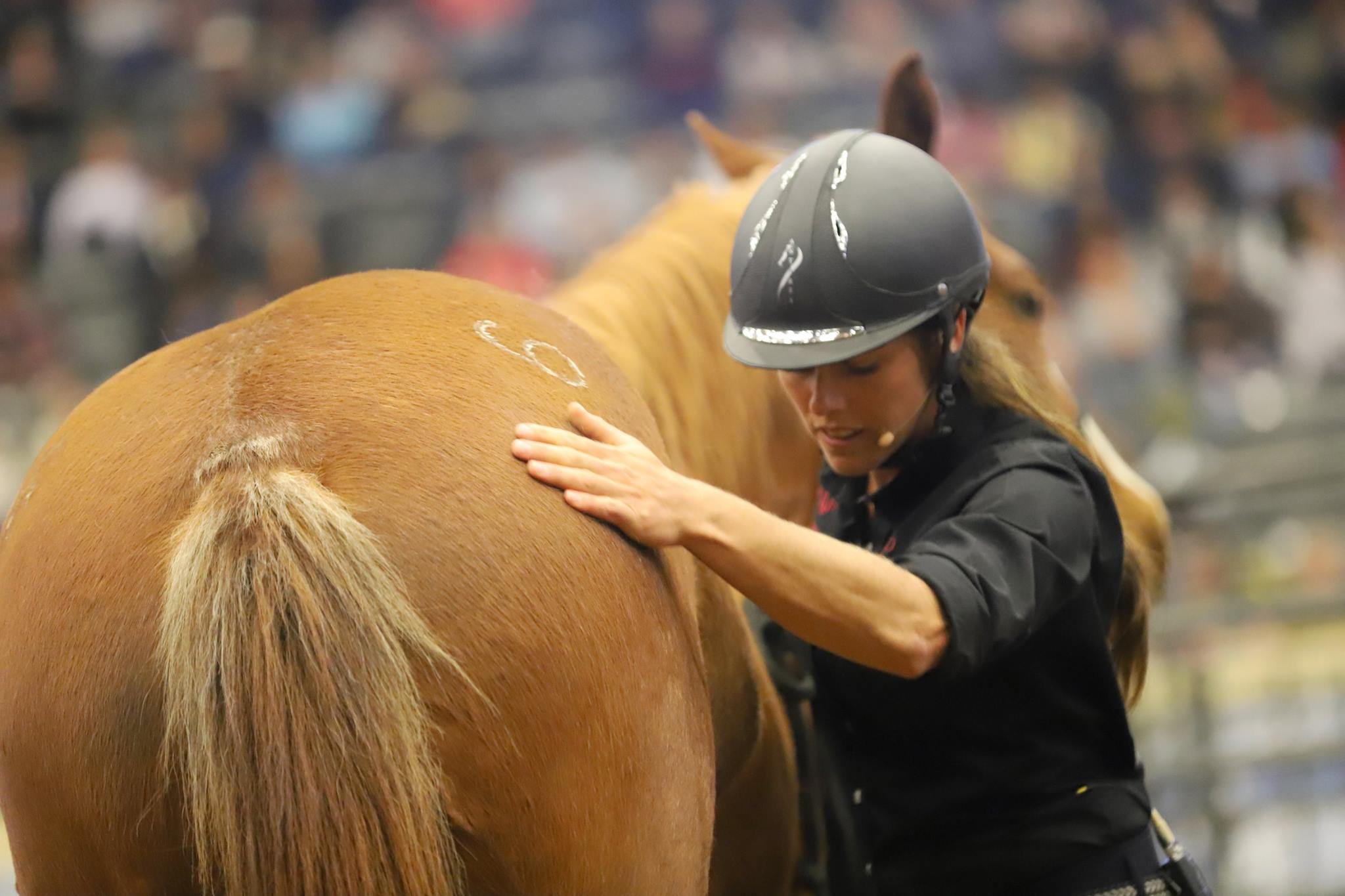 Road to the Horse - Two-time Road to the Horse World Champion Vicki ...