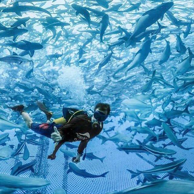 Open Blue Cobia is accredited... - Friend of the Sea | Facebook