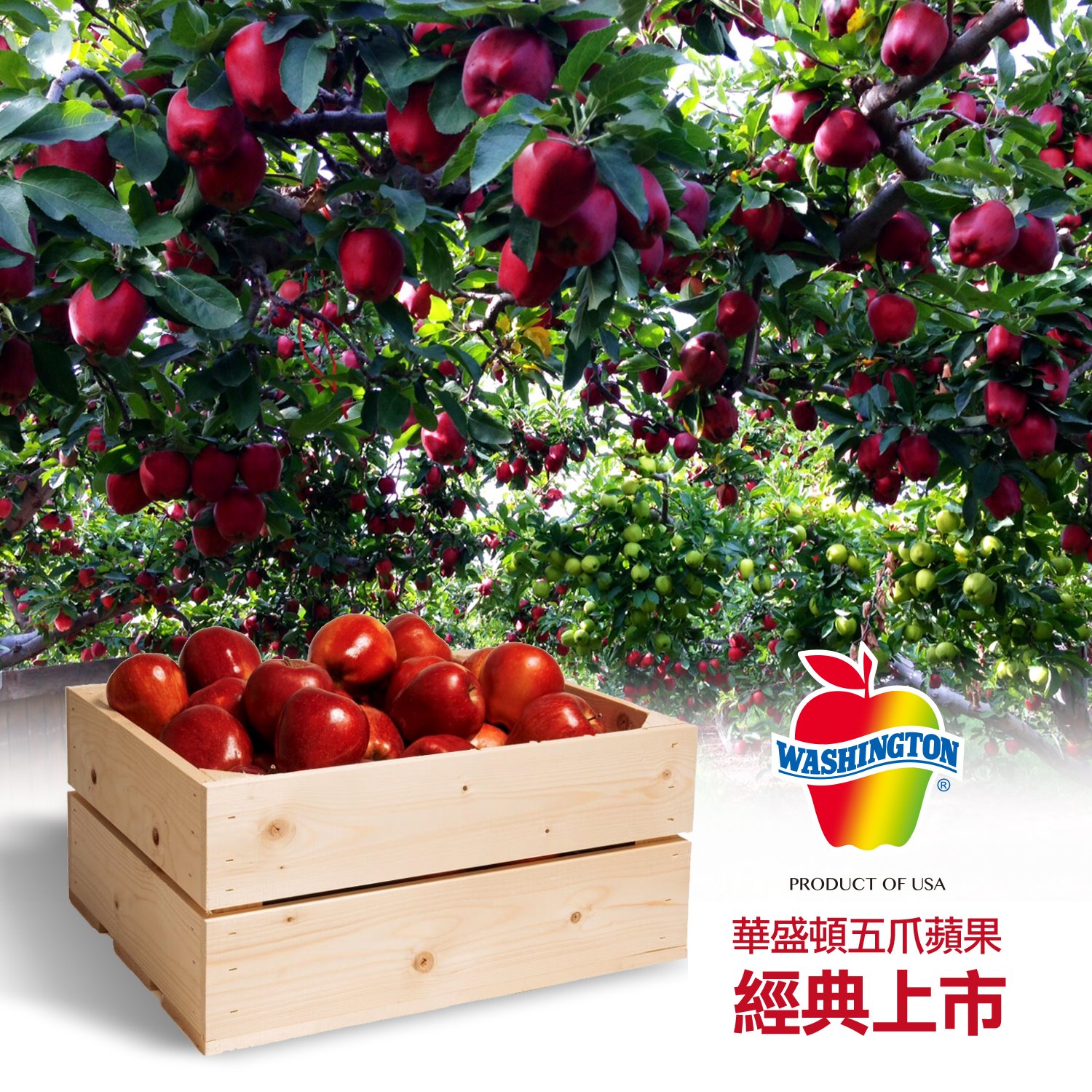 華盛頓蘋果-台灣 - 美國經典的『華盛頓五爪蘋果』（在中國、香港稱紅地厘蛇果）鮮採季節已經開始嘍！華盛頓五爪蘋果以脆甜...