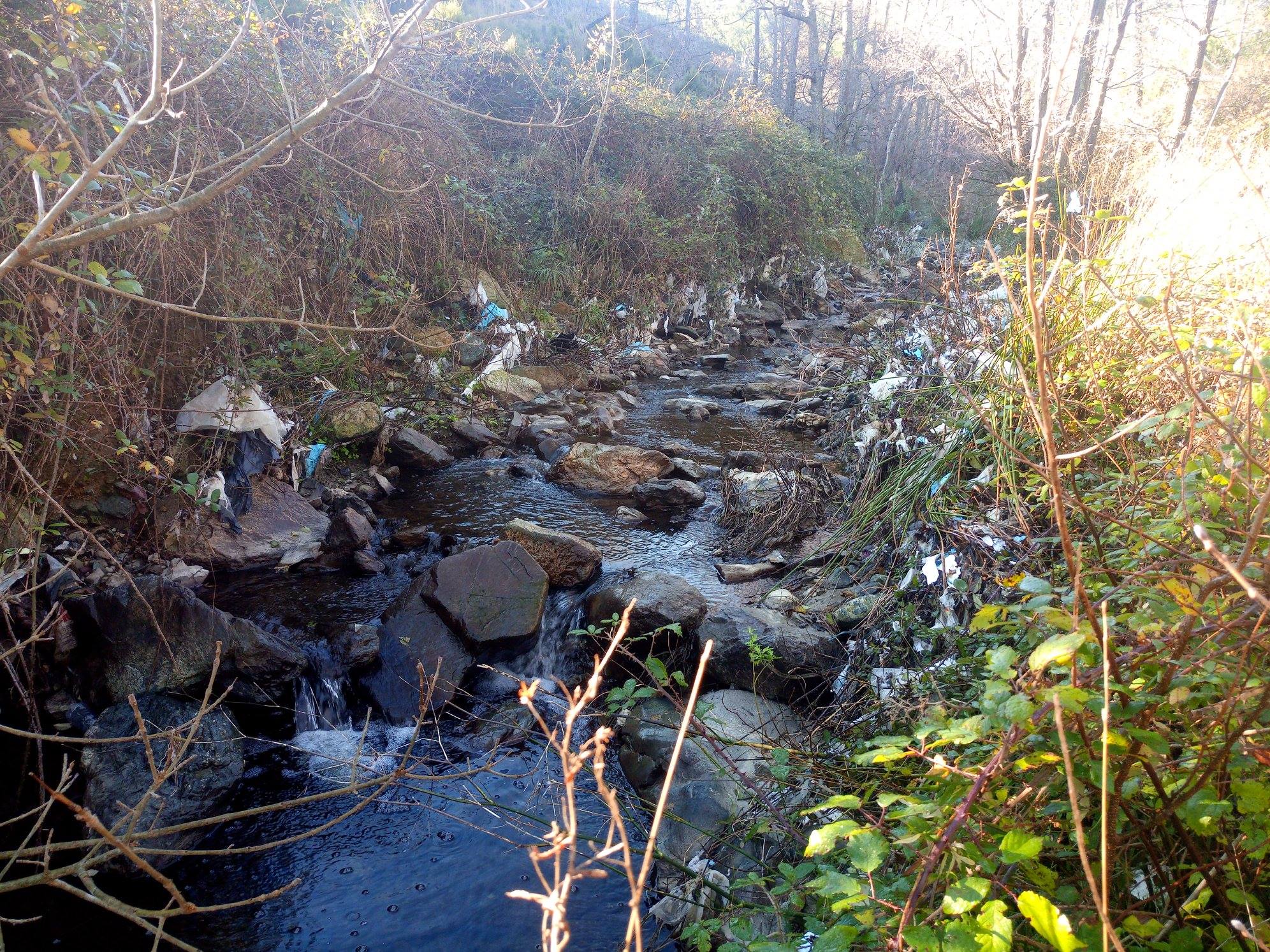 SENTIERANDO - 🏞IL TORRENTE #ARENON. 🗺#Varazze, #Liguria...