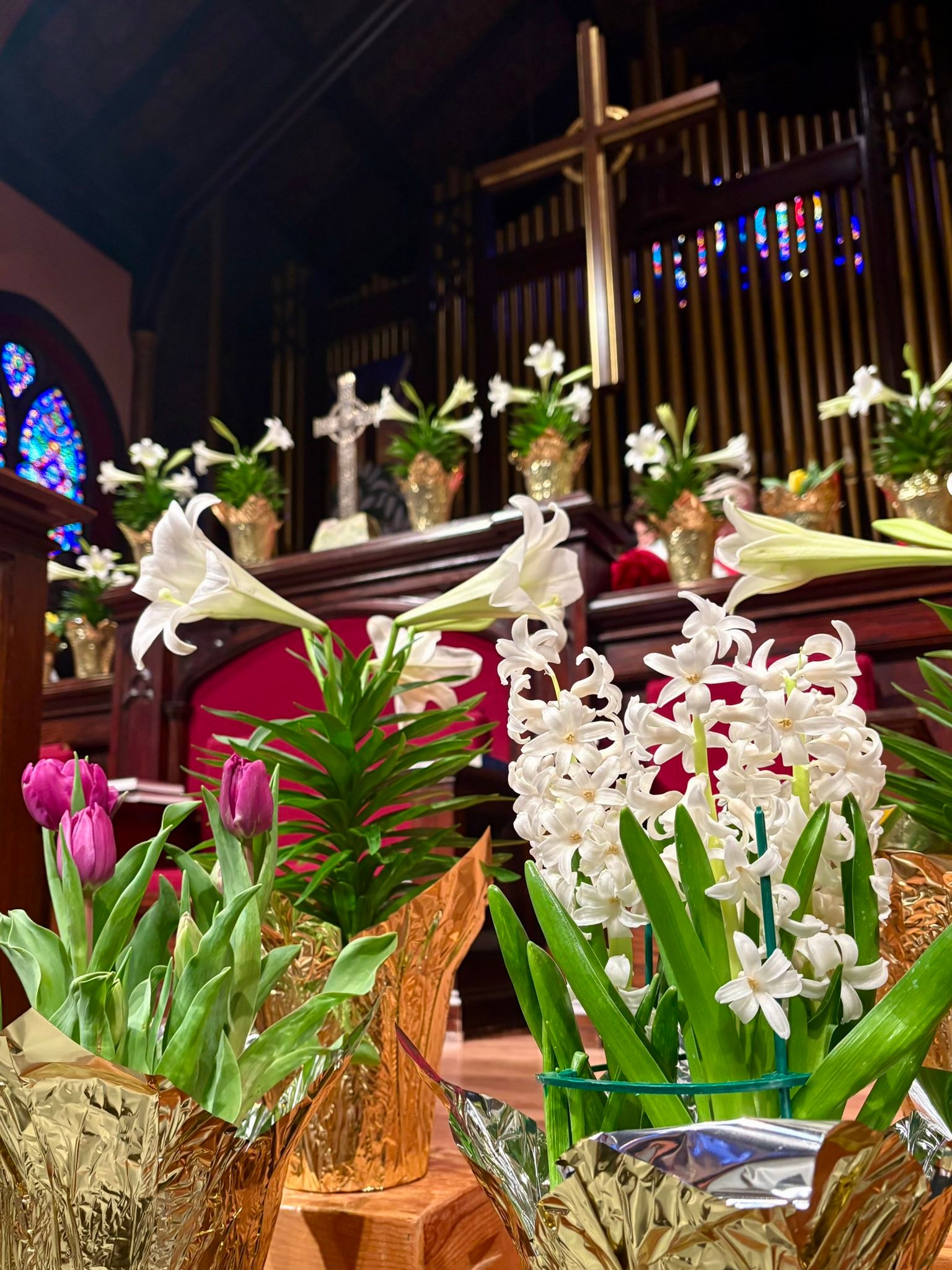 Rev. Dr. Pat... - First Presbyterian Church, Waterloo, Iowa | Facebook