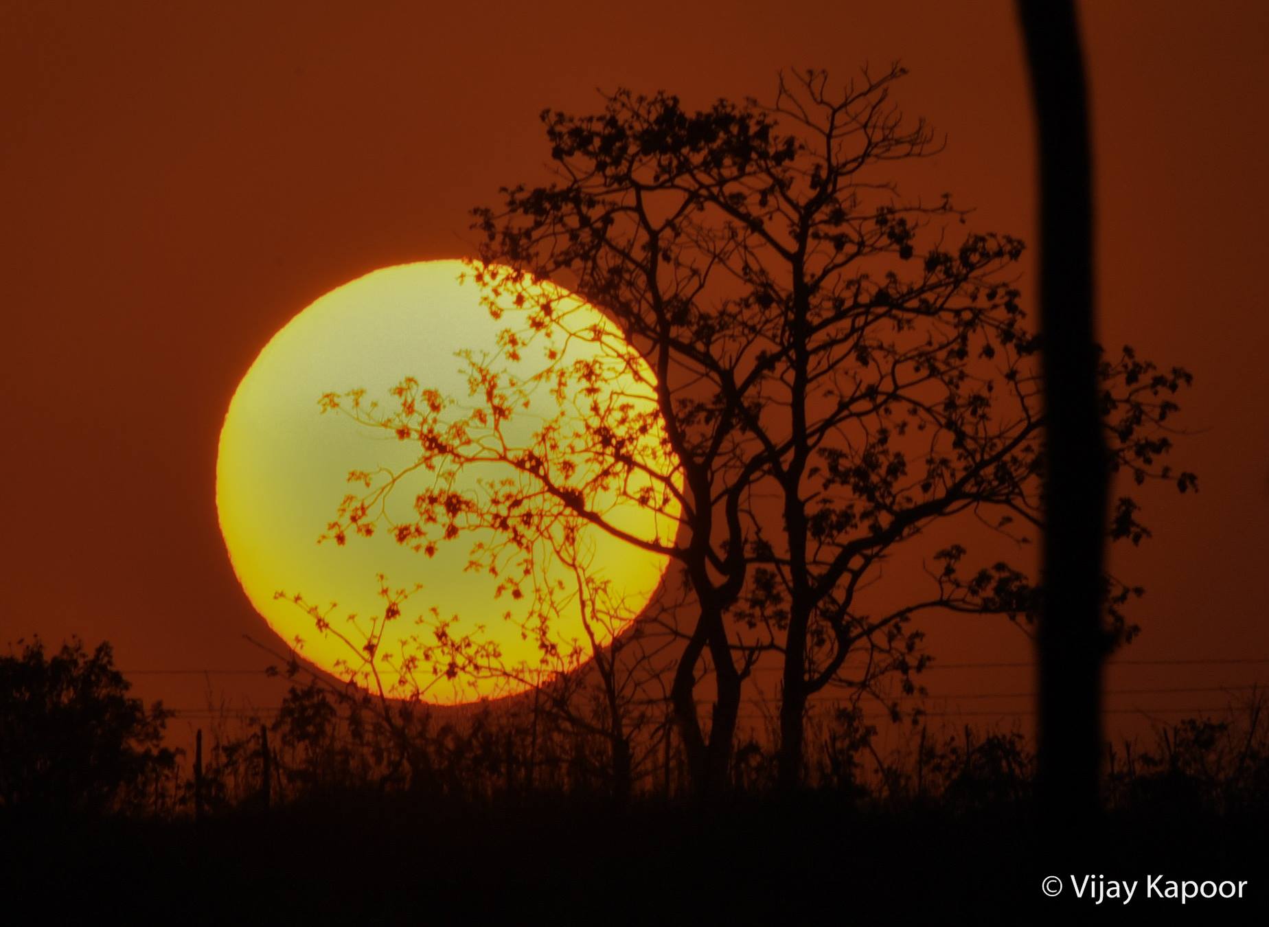 Photographing the sun with a Sigma 150-600mm lens