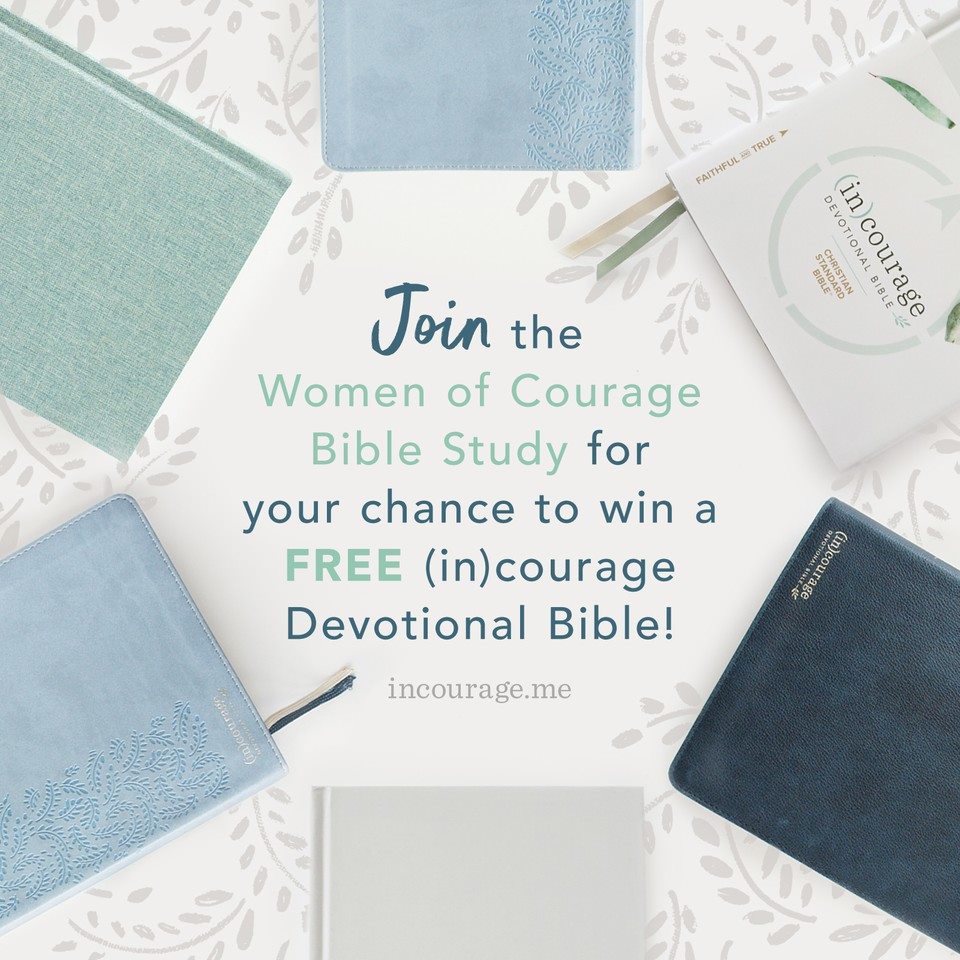 DaySpring - Our friends at incourage are hosting a FREE online Bible ...