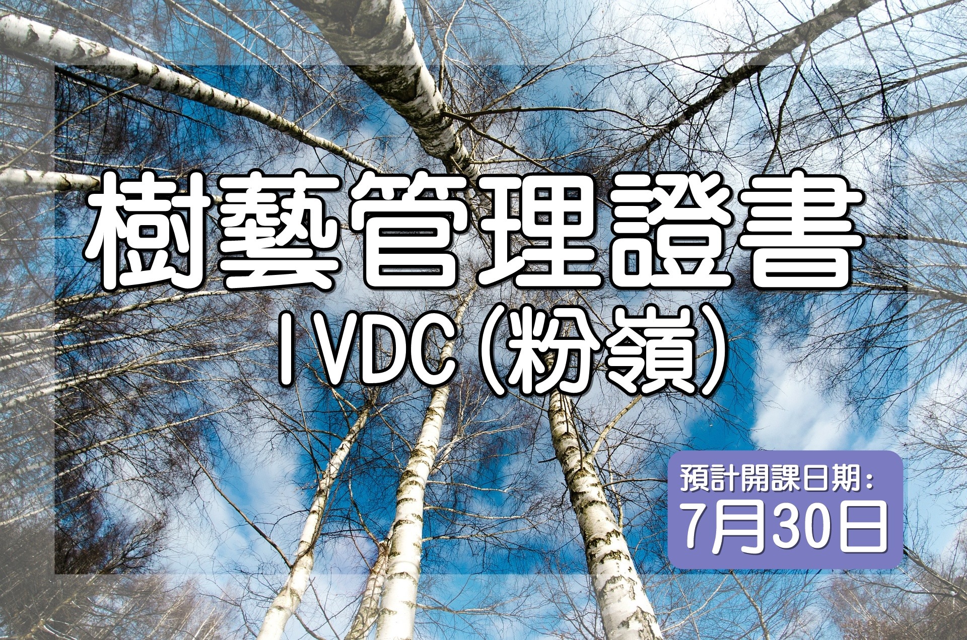 IVDC 匯縱專業發展中心 - 【#樹藝管理