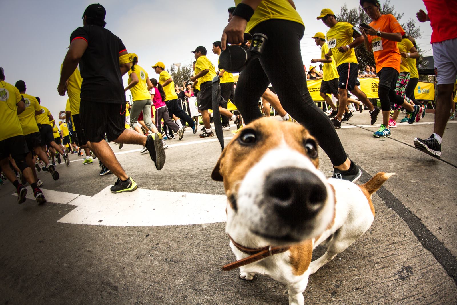 Peru Runners - [#CarrerasPR] El Día de la Tierra tiene un... | Facebook