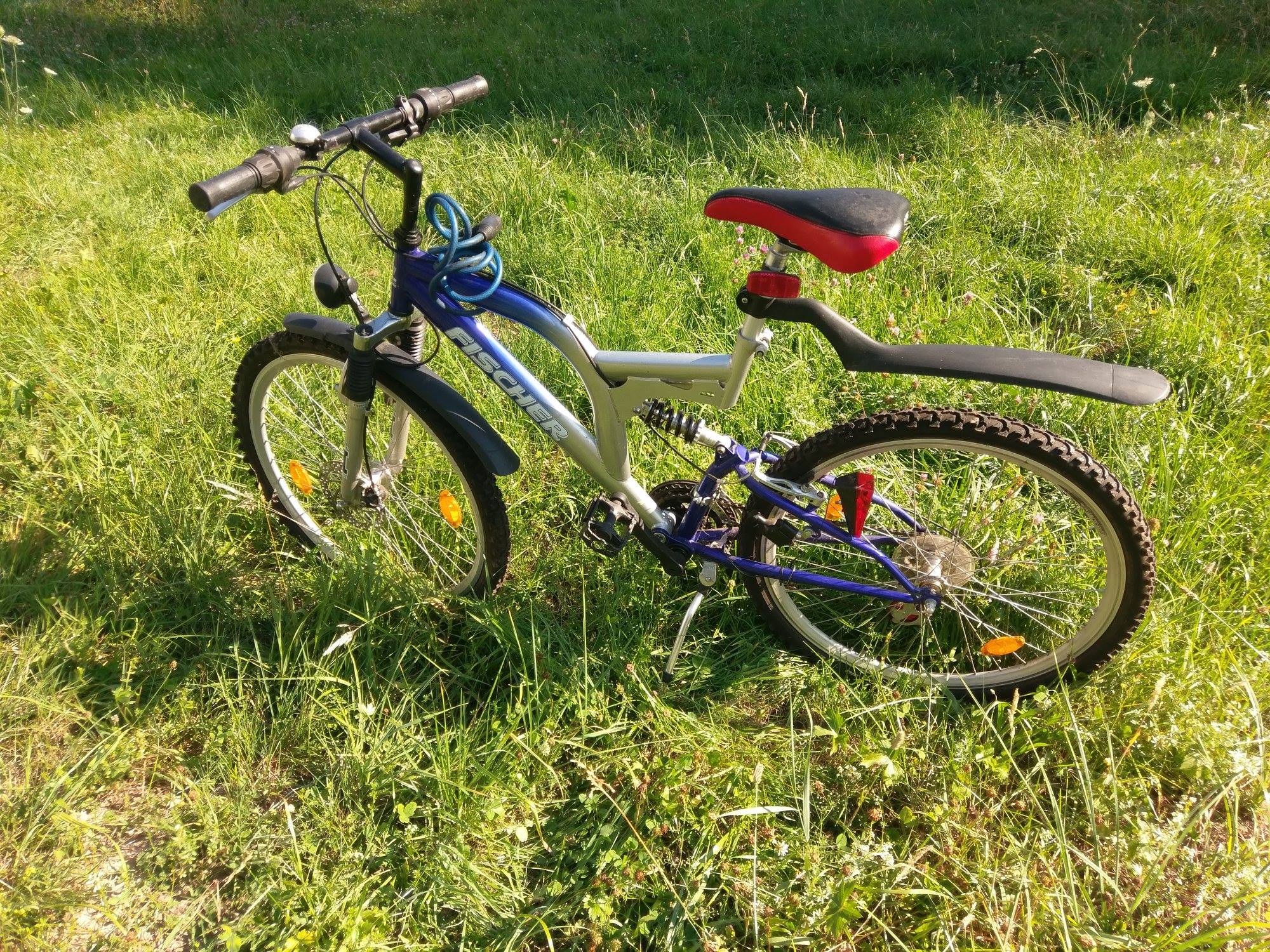 stahl rennrad rahmen Veneto Rennradrahmen First 58cm Rahmenset Farbe:steingrau olive Cross 6.2 Schaeffer's Oil Supreme Gear