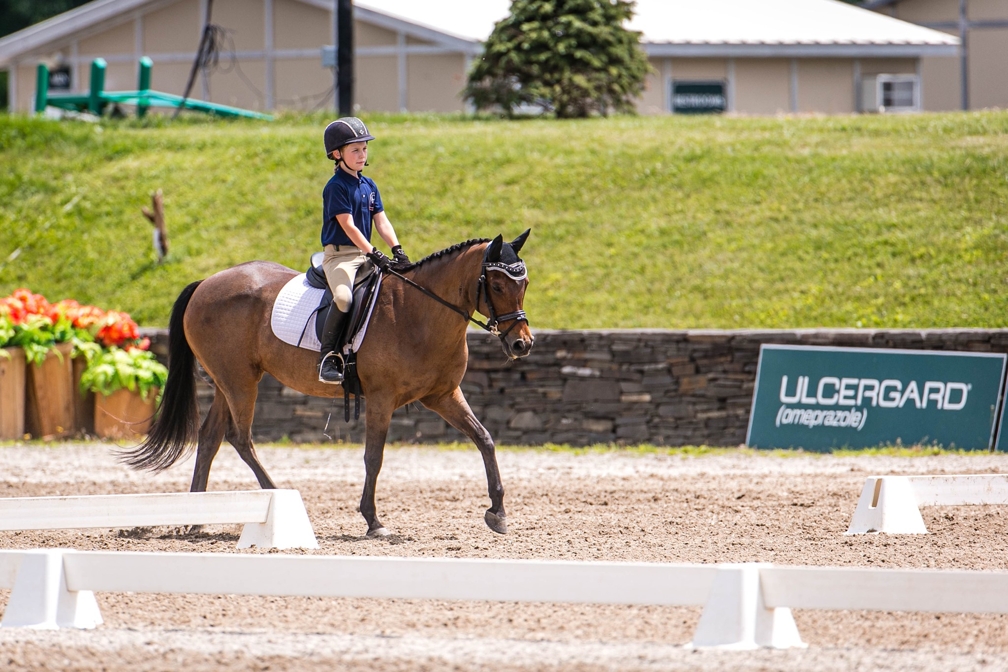 United States Dressage Federation Official Page - Based on USDF’s On ...