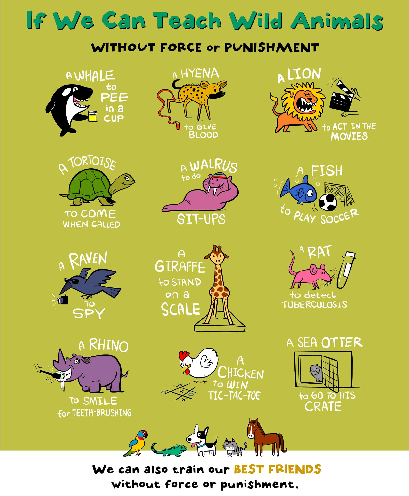 The drawings below were... - Awesome Dawgs Dog Training, LLC | Facebook