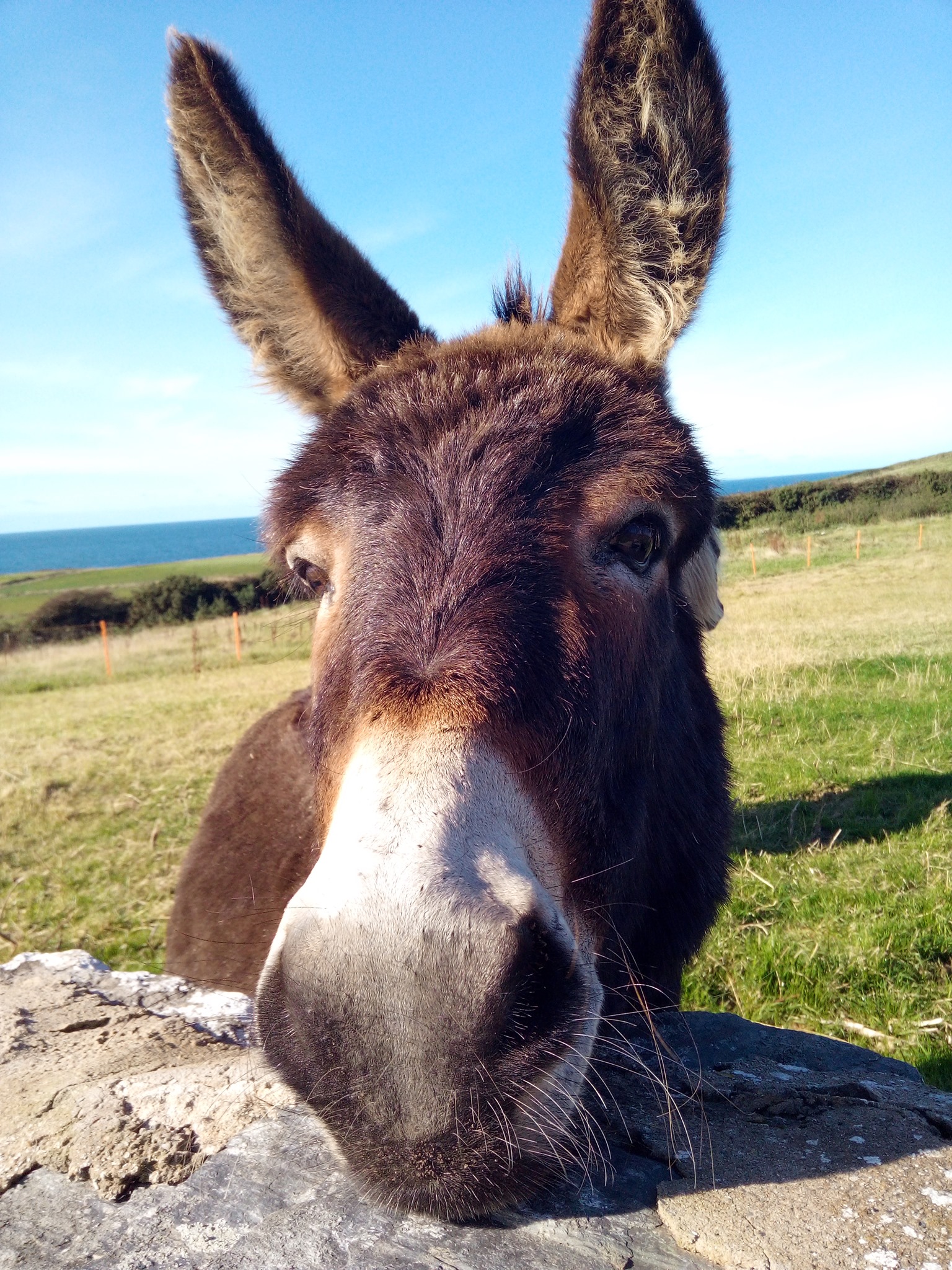 always-a-friendly-face-to-greet-you-visit-isle-of-man-facebook