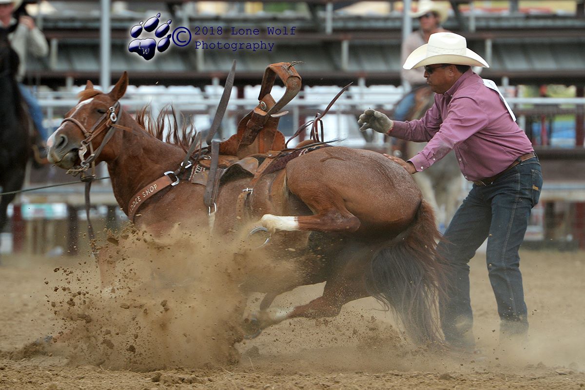 Gabe Wolf Photography - Willy Gasperson and his horse experienced a few ...