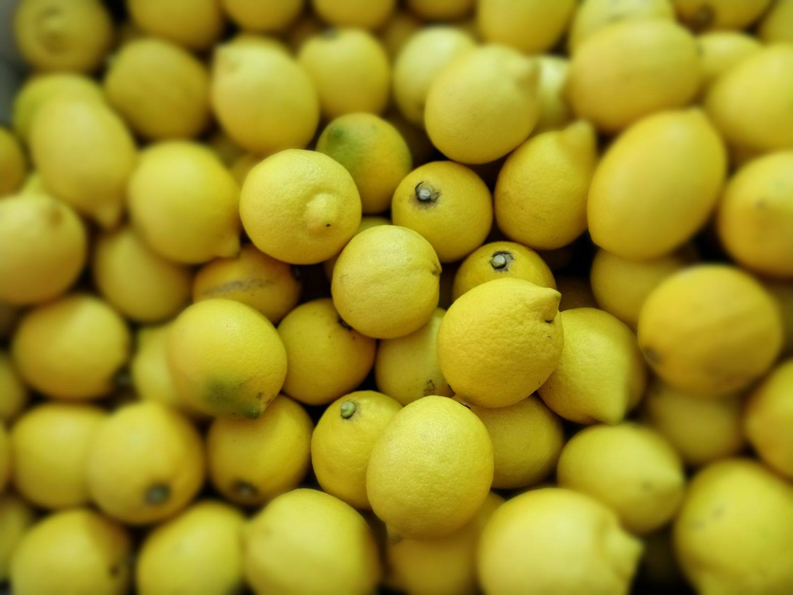 Frott Artna - Take a look at our organic fresh fruit and...