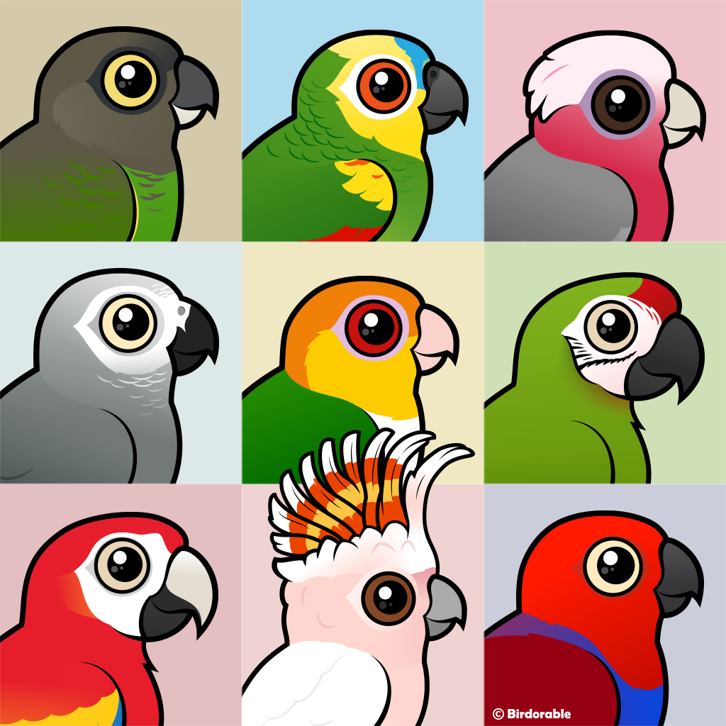 Birdorable - Today is #NationalBirdDay The Avian Welfare Coalition’s ...