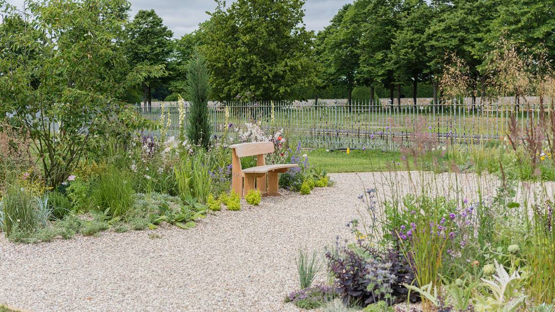 The Drought Resistant... - RHS - Royal Horticultural Society