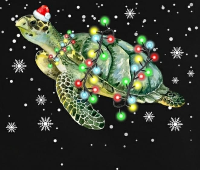 The VMware Turtles