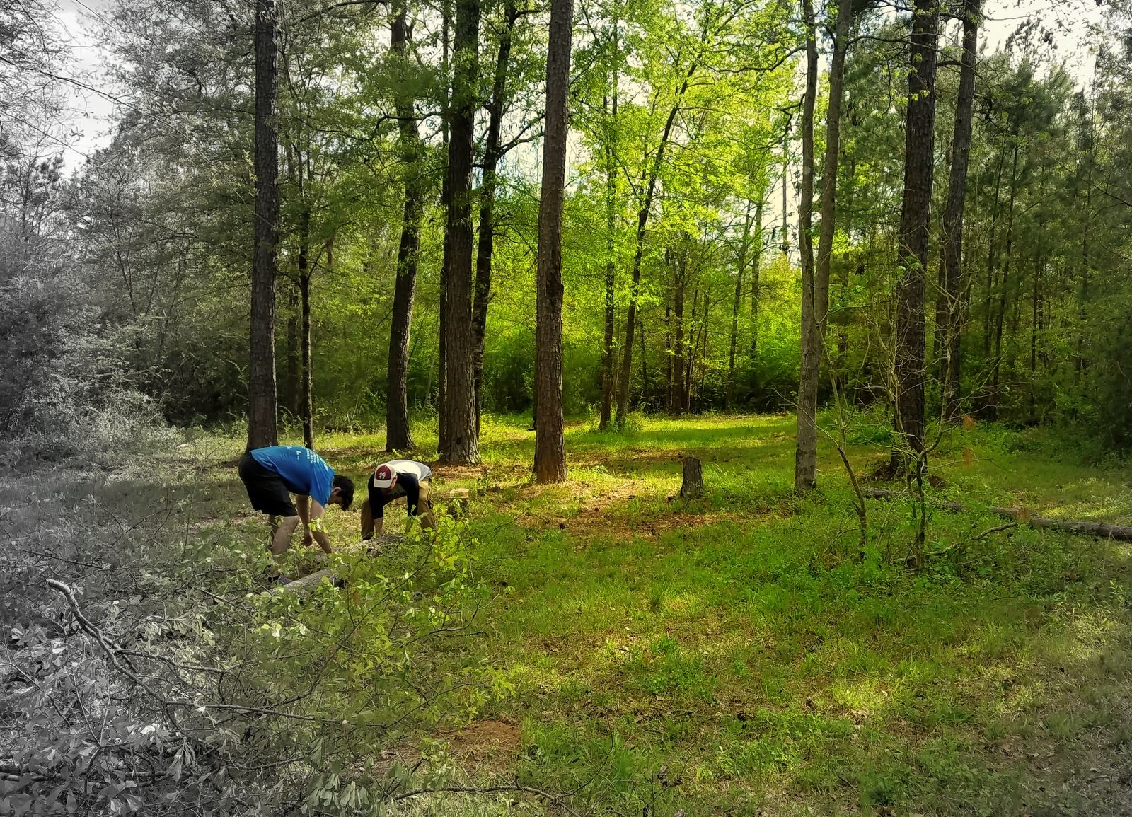 Myrtle Ridge Disc Golf Course | Milledgeville GA