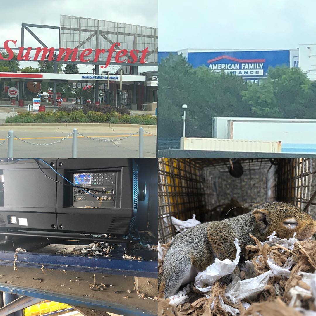 Advanced Wildlife And Pest Control