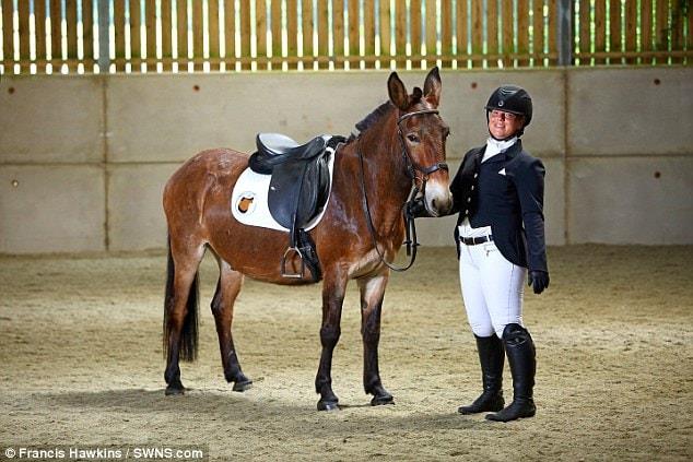 National Equine Resource Network - 