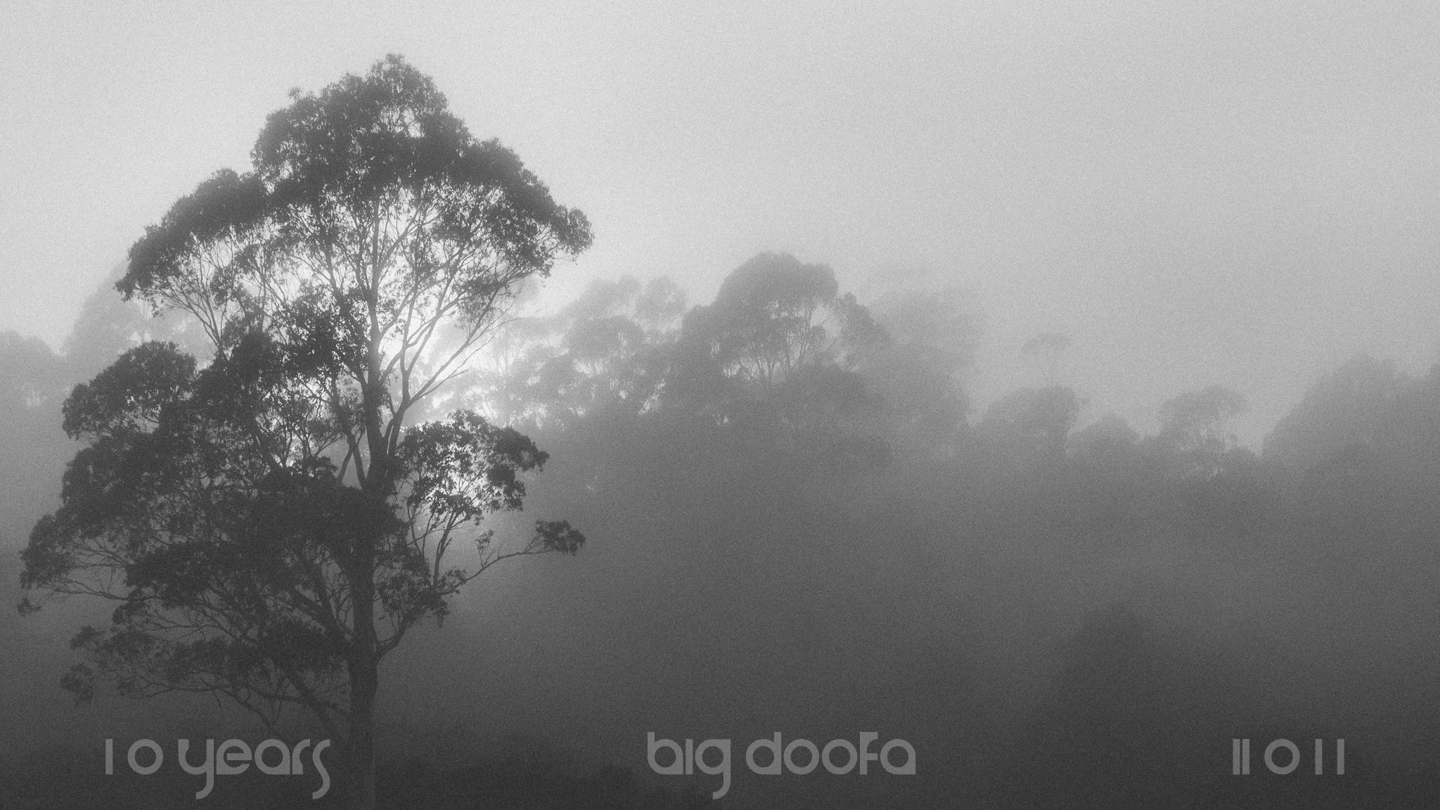 Big Doofa's Photography - 10 Years of Big Doofa's Photography Year 3: ...