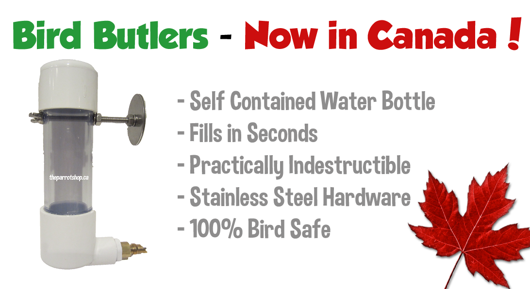 What is a bird butler and how... - The Parrot Hotel and Shop