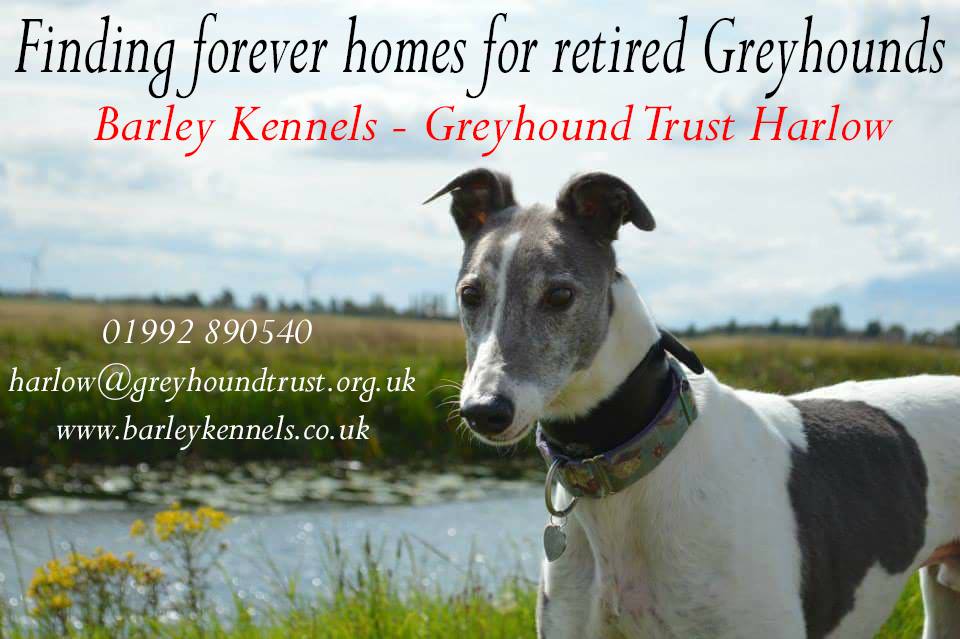Barley Kennels Greyhound Trust Homing Centre Home Facebook