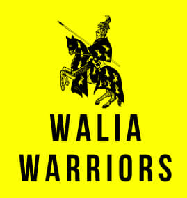 DIA Wolves Cricket