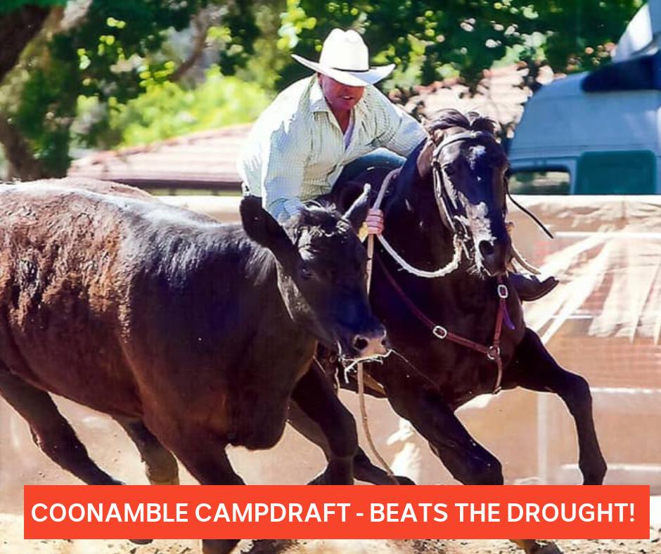 ABC Rural - 🐎🐎🐎 COONAMBLE CAMPDRAFT TO GO AHEAD 🐎🐎🐎...
