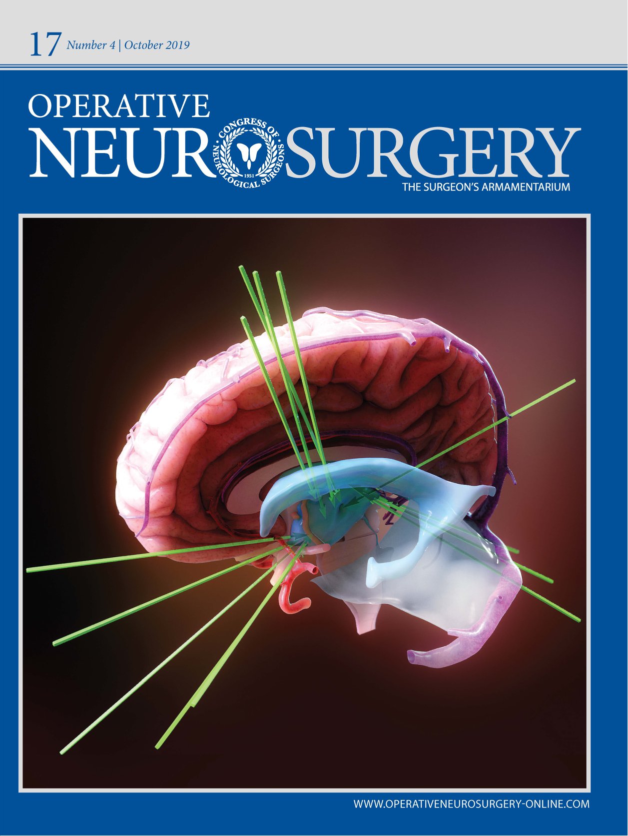 Free access to Rhoton's cranial anatomy and surgical approaches