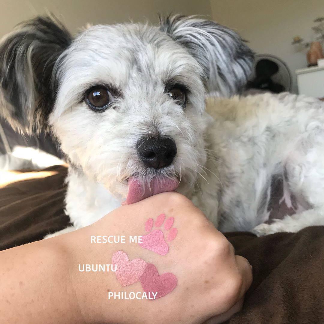 HUHANZ - WOOO HOOO - the RESCUE ME lipstick is now...