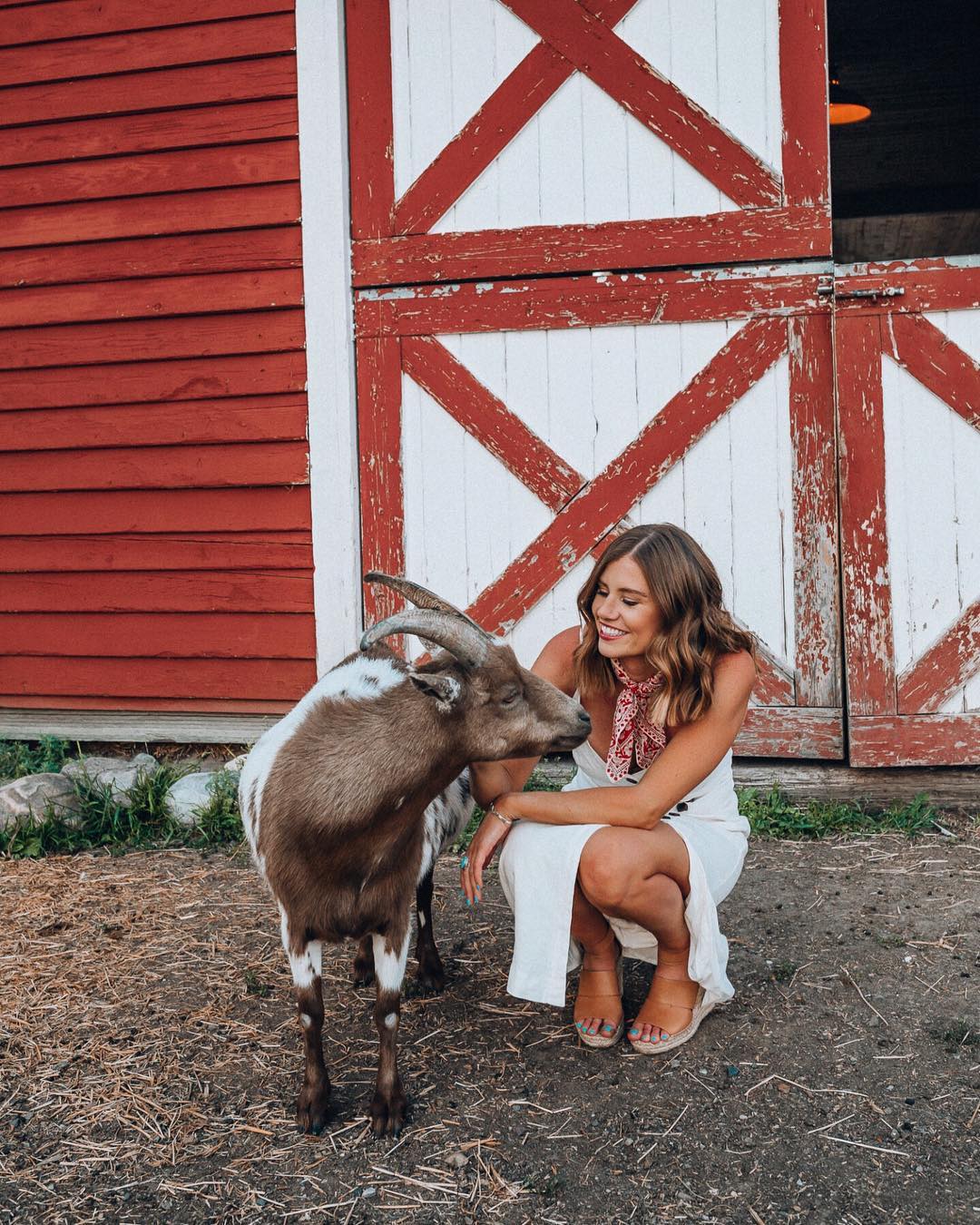 Rancho - Our goat, Trouble, has taken a liking to our friend Jessica ...