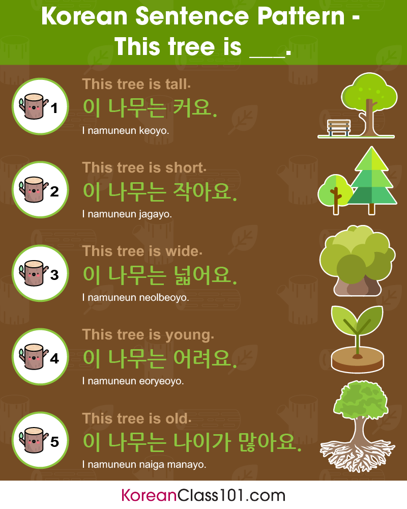 Learn Korean Koreanclass101 Com Do You Know How To Say Nature In Korean Ps Learn Korean With The Best Free Online Resources Just Click Here Https Www Koreanclass101 Com Src Social Nature Album 061219 Nature Korean