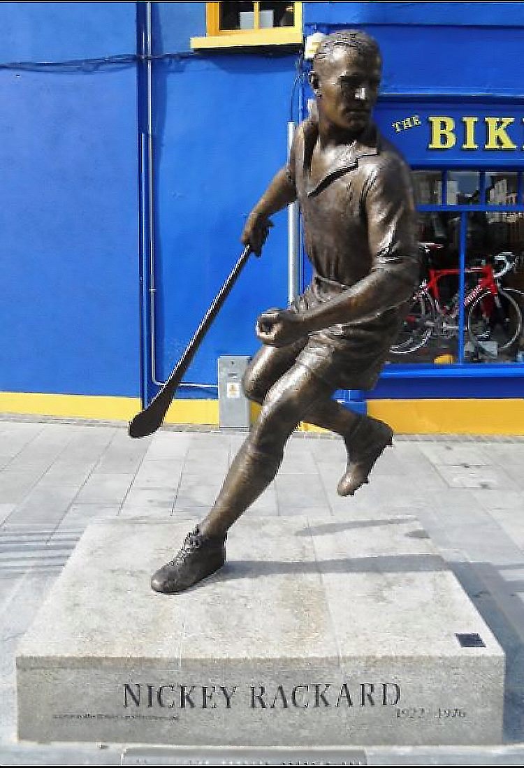 Nicky Rackard, pictured with his... - UCD Veterinary Hospital | Facebook