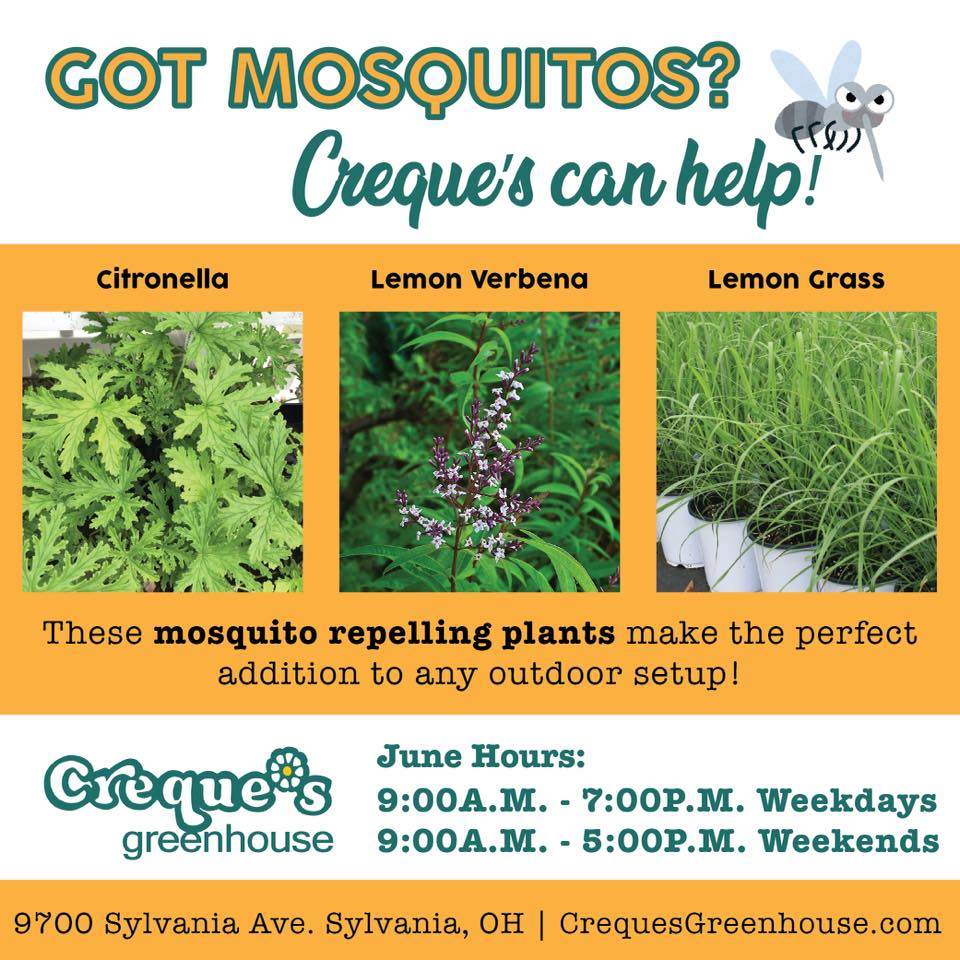 Did You Know:... - Creque's Greenhouse and Produce Stand