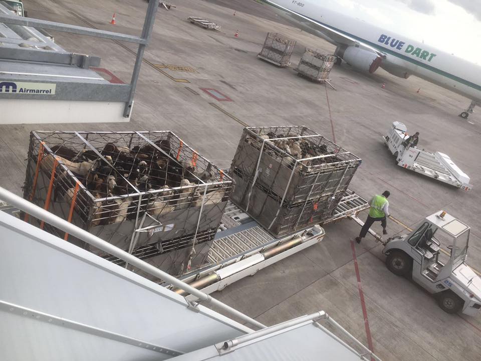 Aircargo Loadmaster - #aircraftloadmasters #loadmaster #airmen # ...
