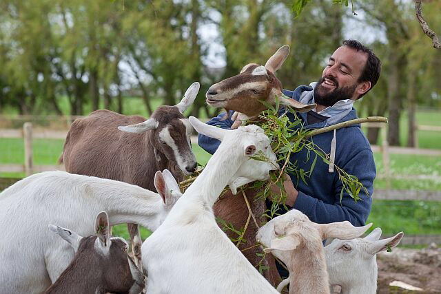 River Cottage - We are proud to be joining in with Goatober - a month ...