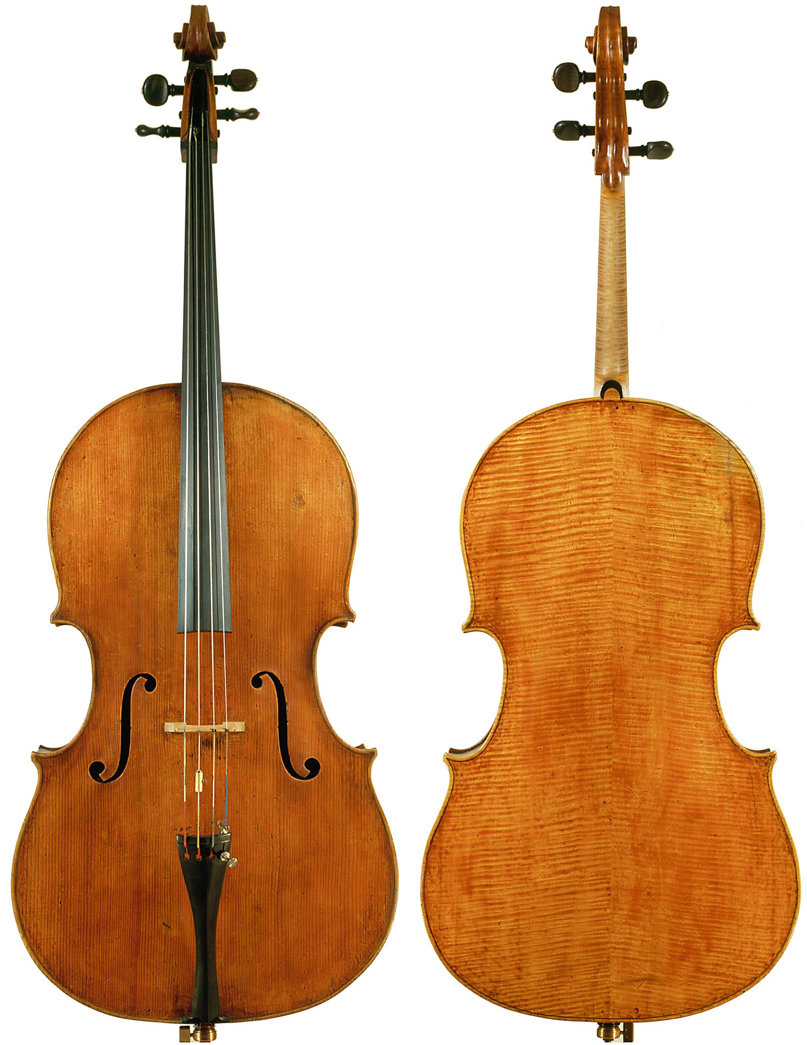 🎻 Domenico Montagnana One of the most celebrated names in cello