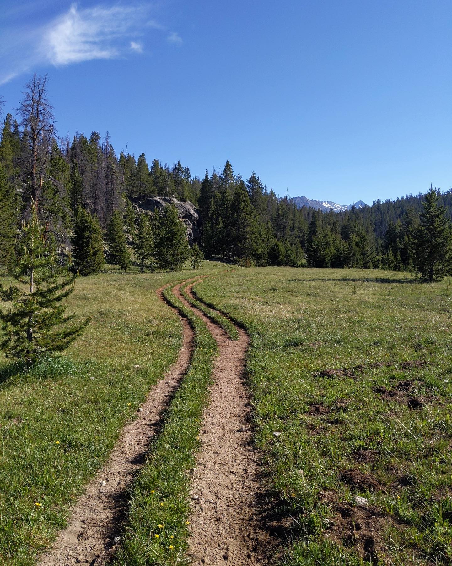 Leave No Trace - Trail braiding often occurs when users avoid mud ...
