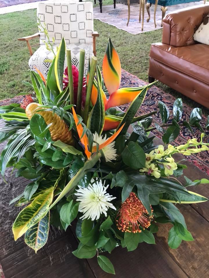 Interior Gardens Austin | Georgetown TX
