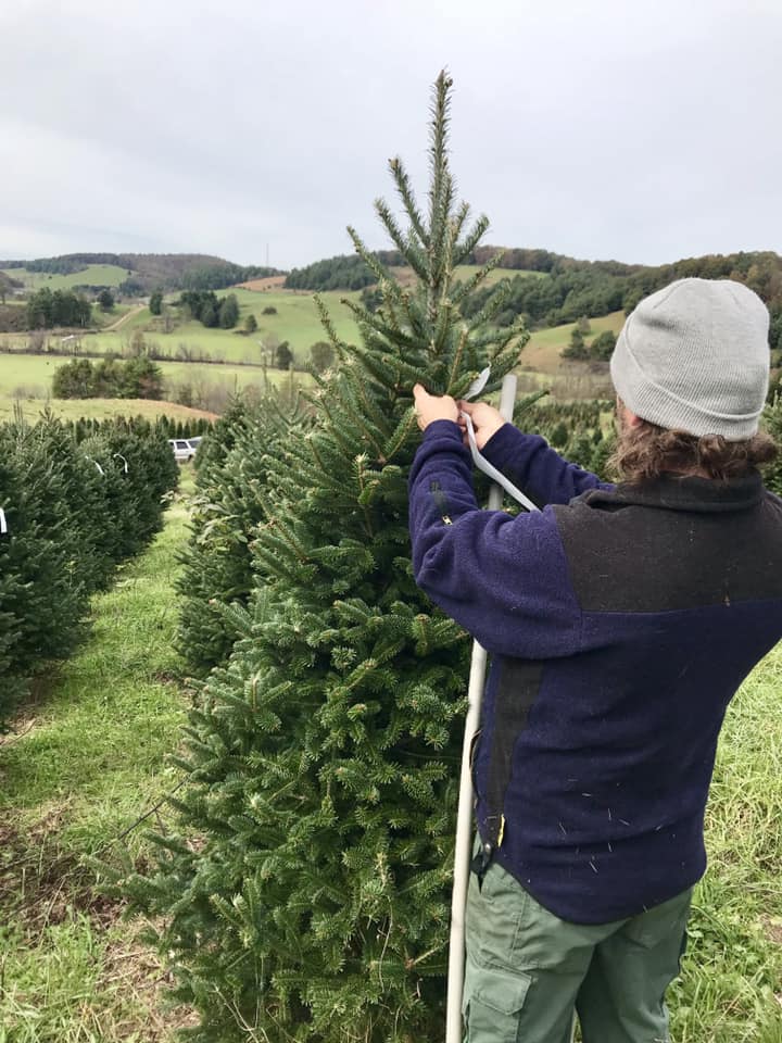 Dancing Hill Christmas Tree Farm Home Facebook