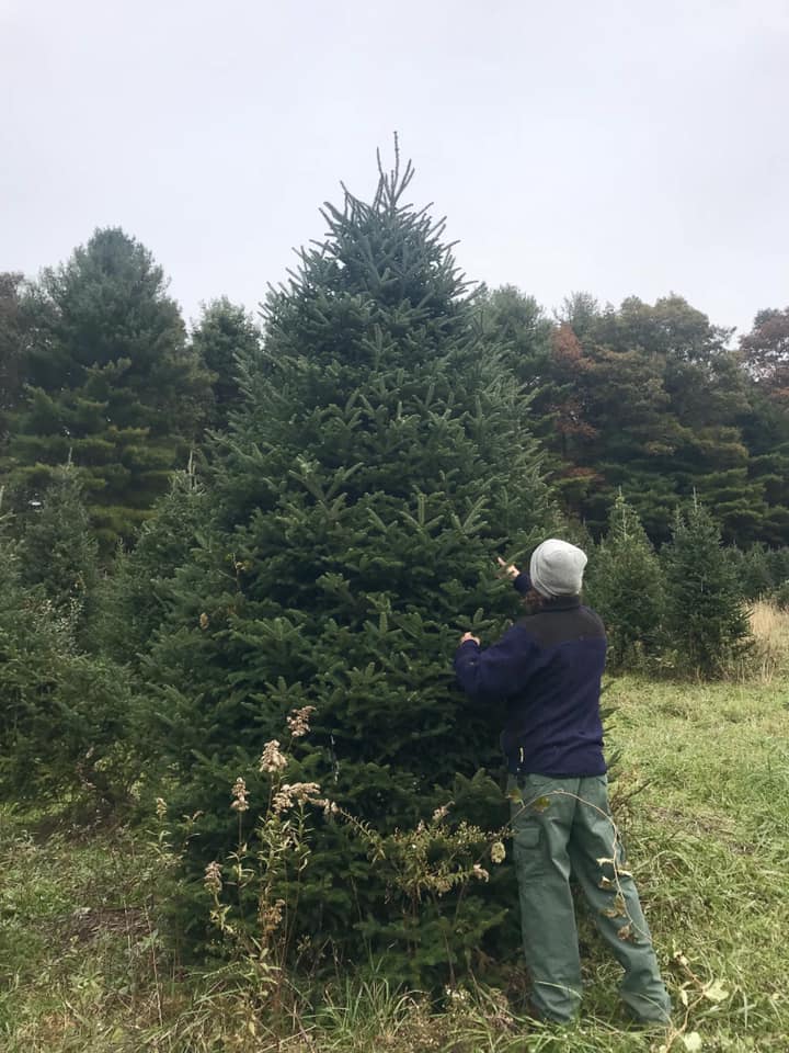 Dancing Hill Christmas Tree Farm Home Facebook