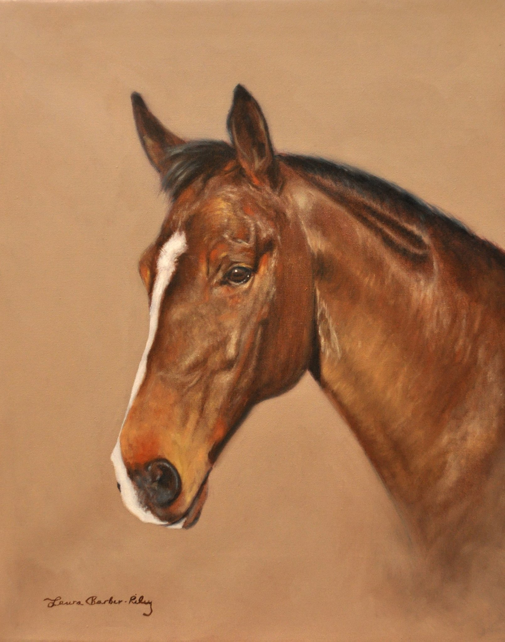 Laura Barber-Riley- Equestrian Artist