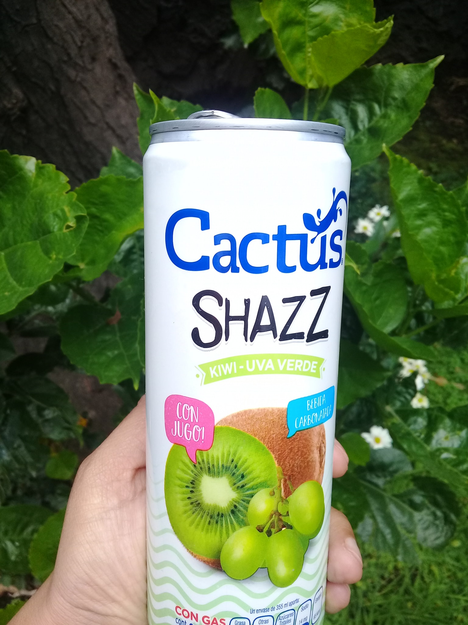 Raspberrymag - Conoce Shazz de Cactus deliciosa...