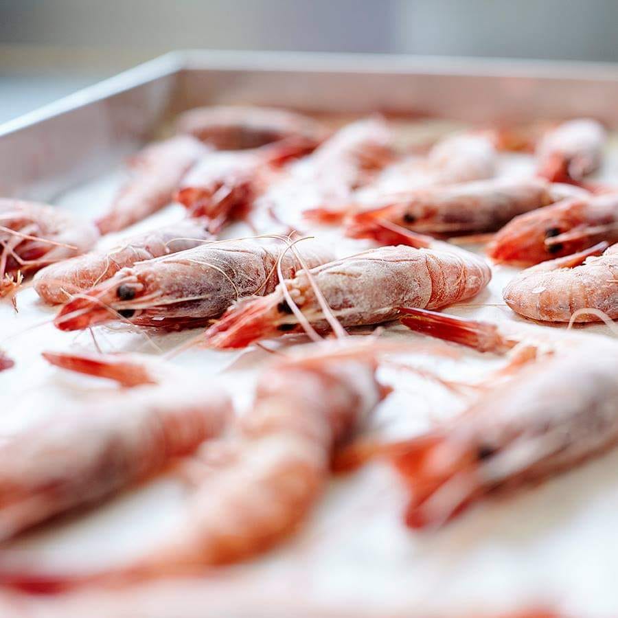 🦐Scampi e gamberi surgelati con LIFE... - Arredamenti Bezze