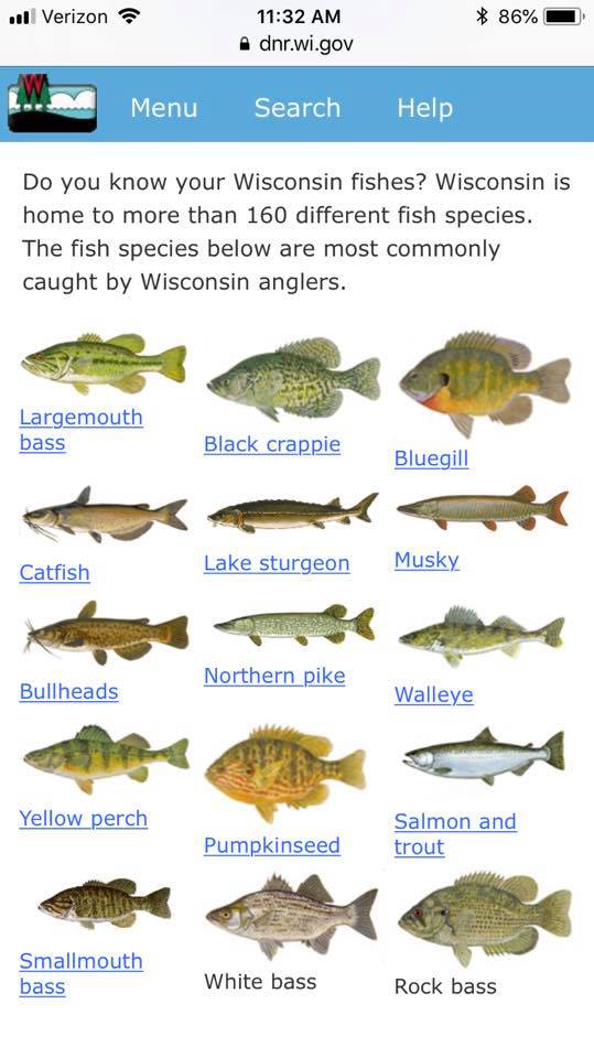 Do you know your Wisconsin... - Minocqua Area Visitors Bureau | Facebook