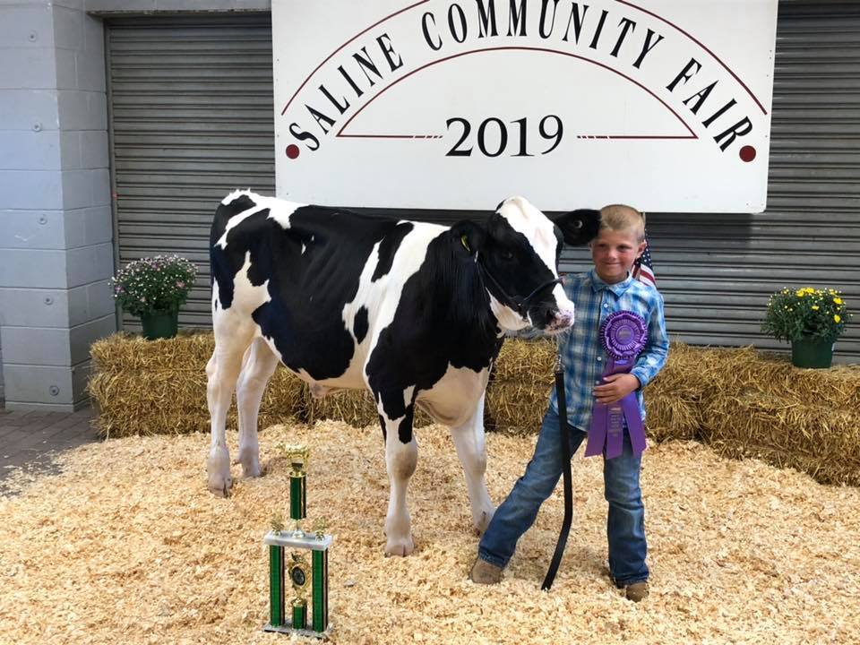 Grand Champion Feeder Calf is... - Saline Community Fair