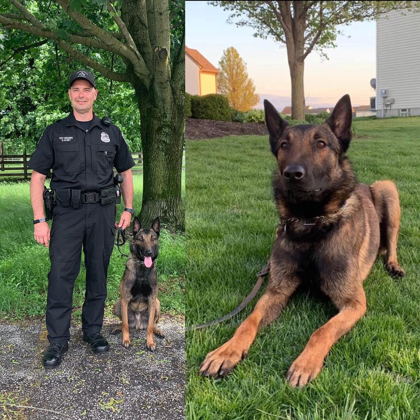 Columbus Division of Police - ‪#NationalDogDay Excited to introduce you ...