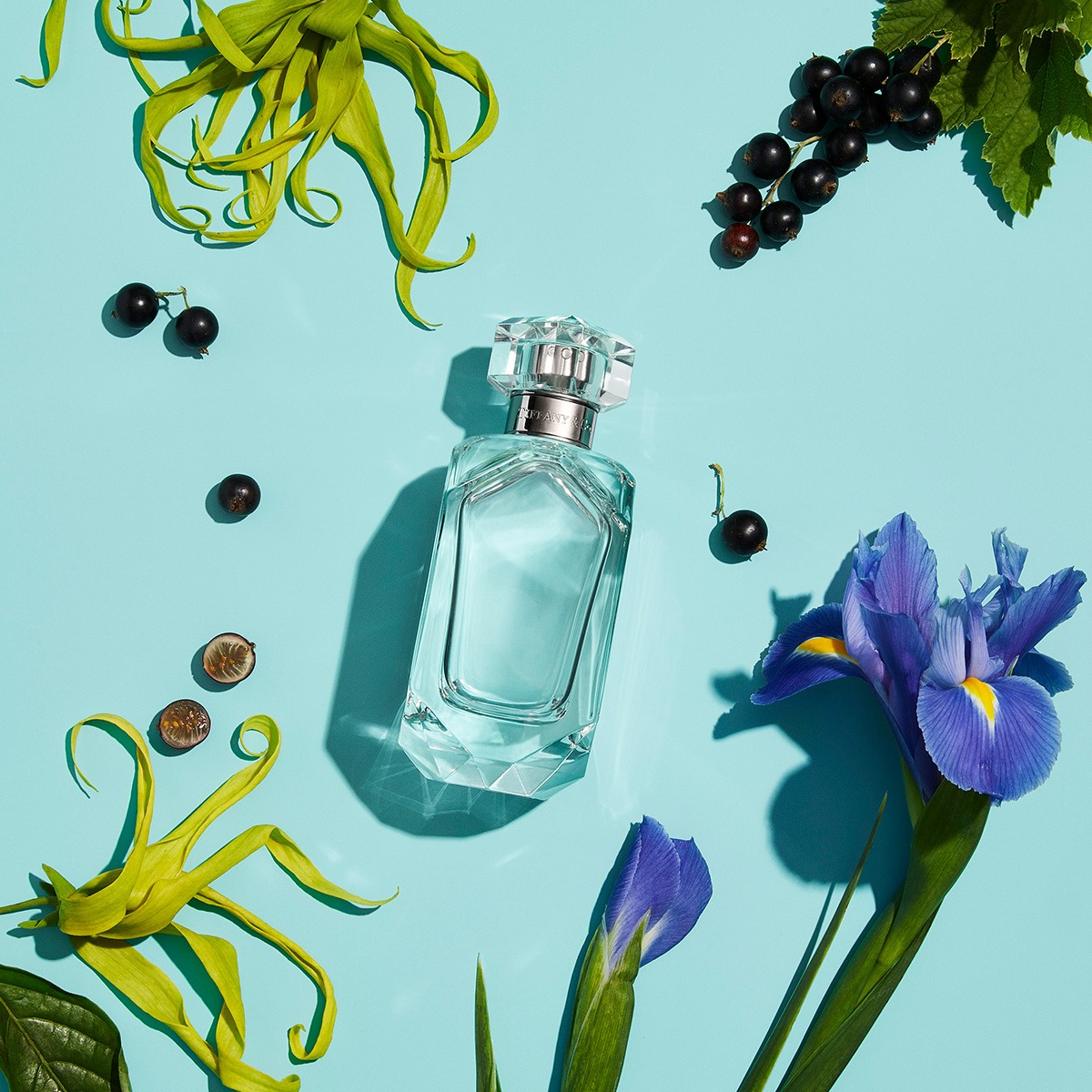 Introducing Sheer, the new Tiffany Eau de Toilette—a bright and