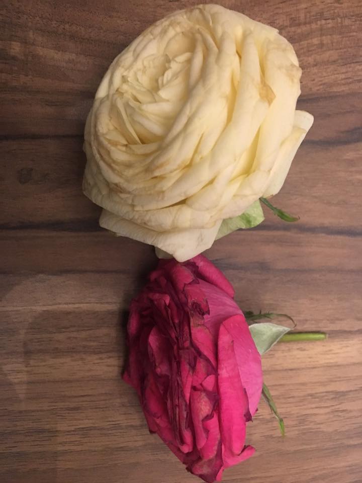 Nikki - Thank you St. Therese for sending roses as signs of answered ...