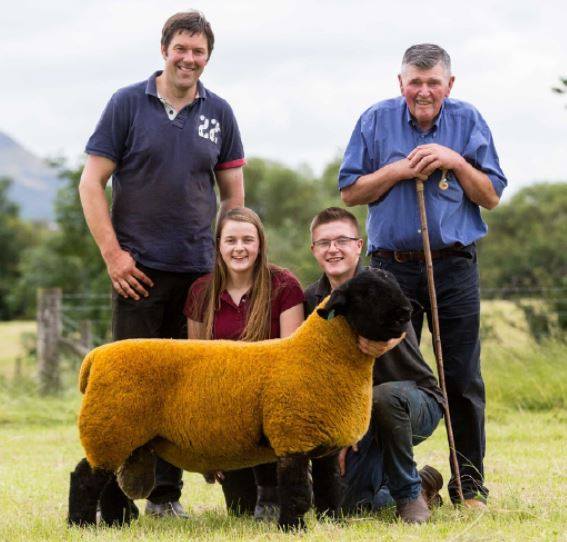 The Scottish rounds of pedigree... - The Scottish Farmer