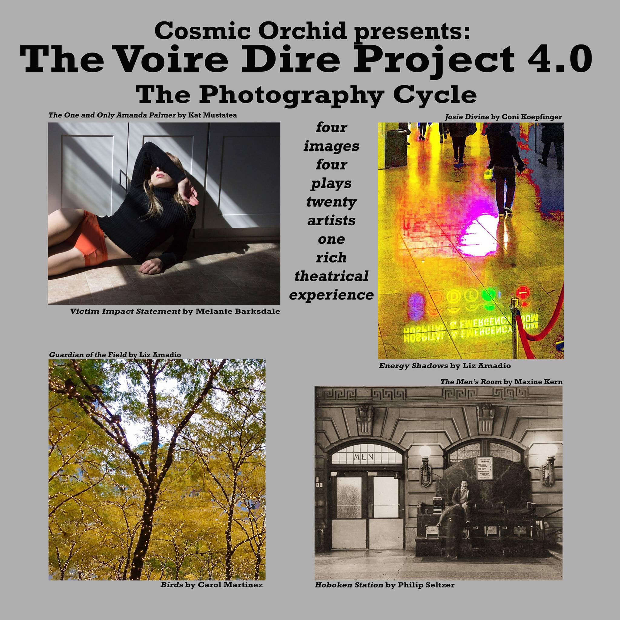 Introducing the art work of VDP... - Coni Ciongoli Koepfinger